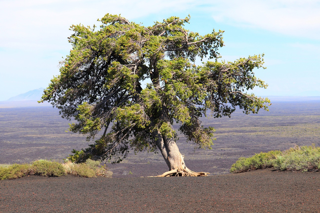 The Quiet Power of Cinder Cones: Why Small Volcanoes Deserve Big Respect